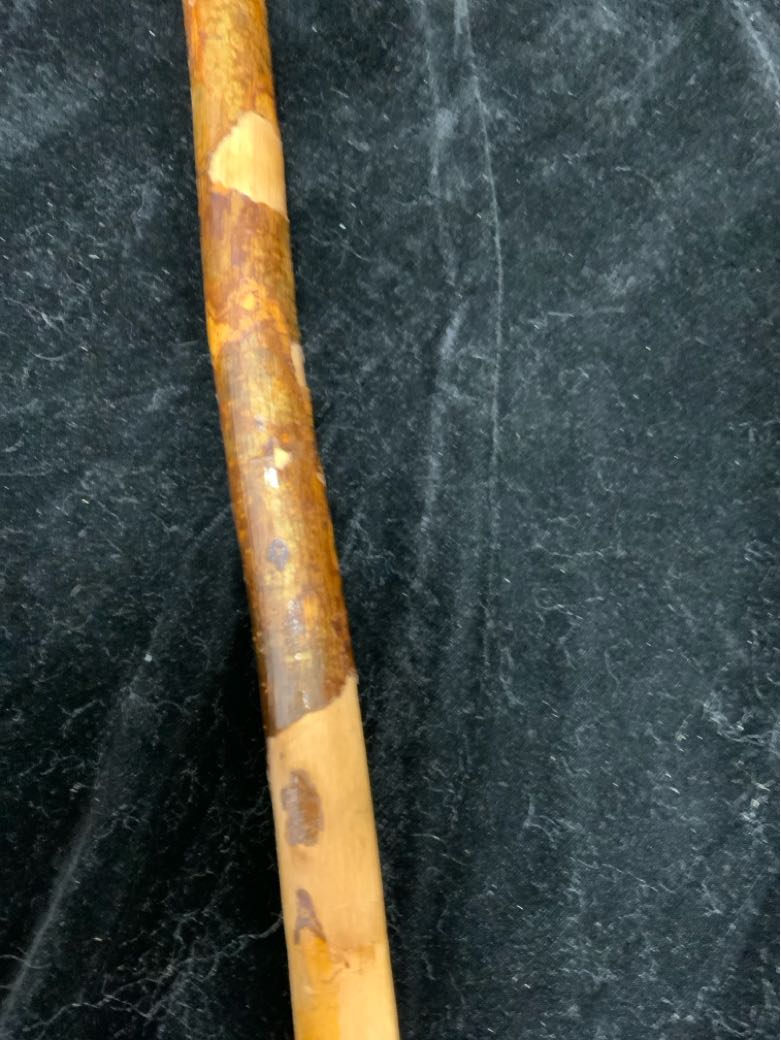 Walking Stick