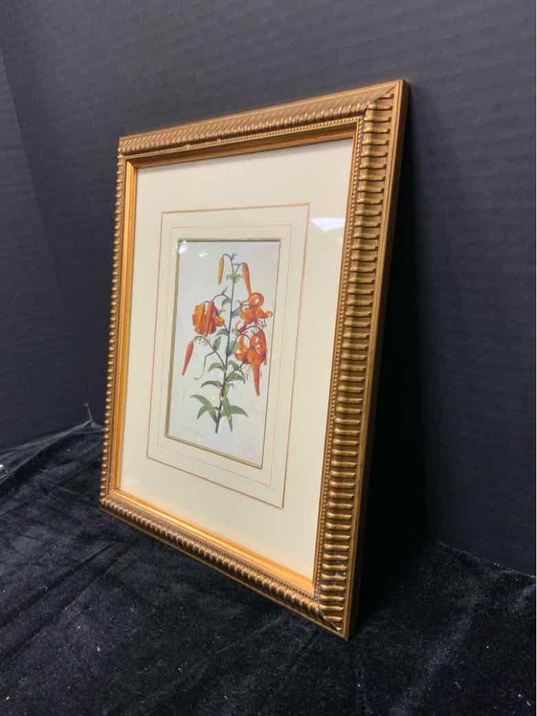 Botanical