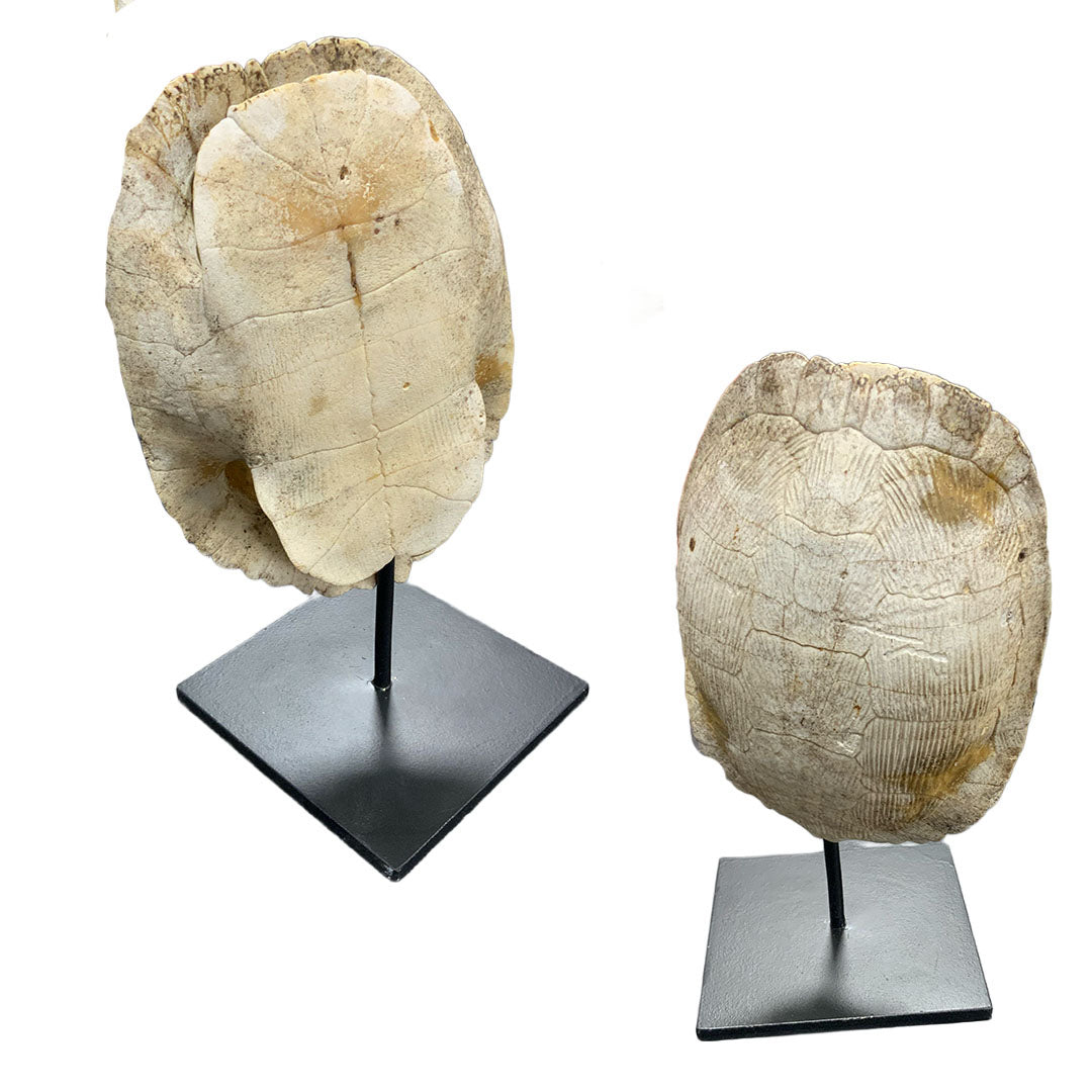 Object d'art