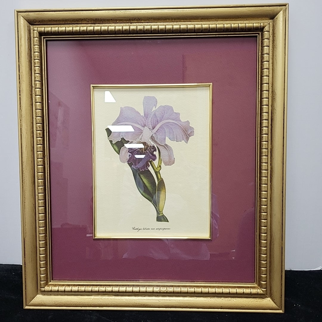 Framed Print