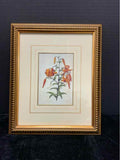 Botanical