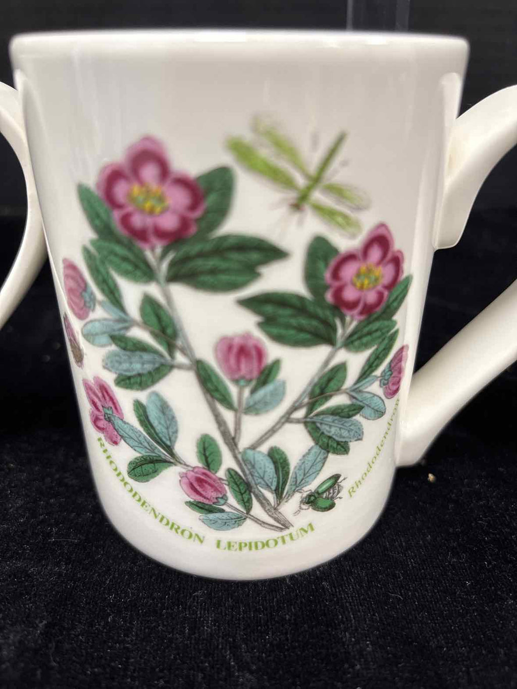 Portmeirion Mug