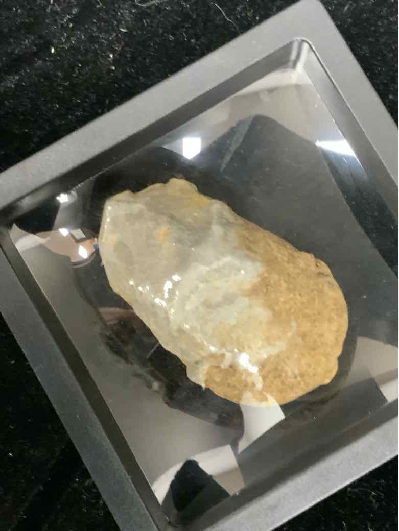 Fossil