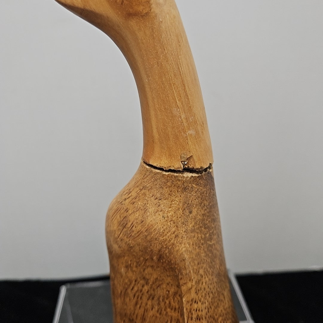 Decoy