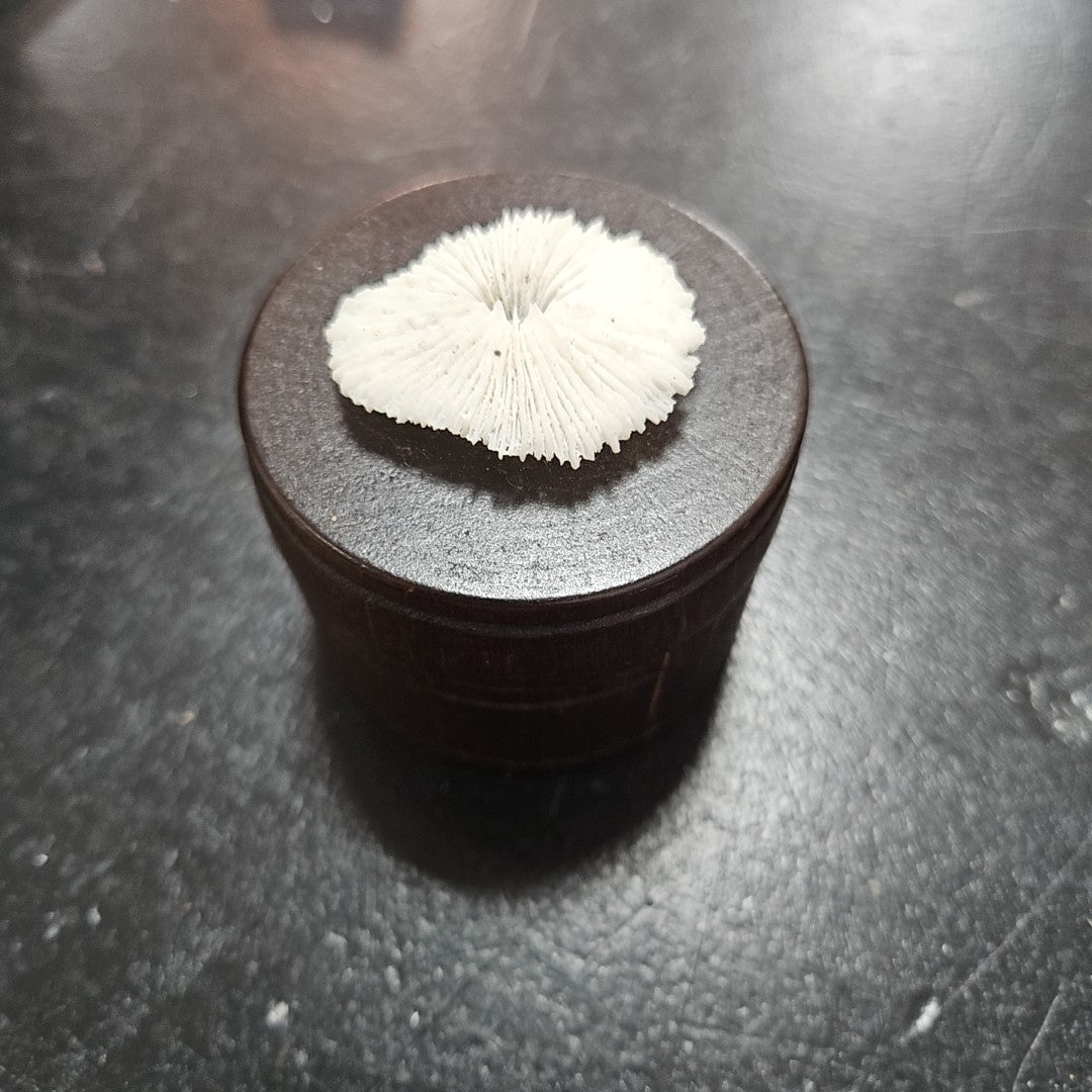 Lidded Box