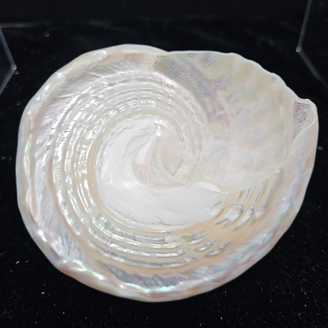Shell