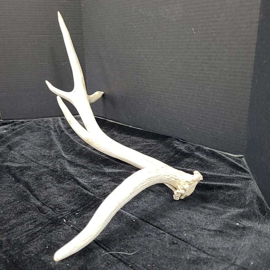 Antler