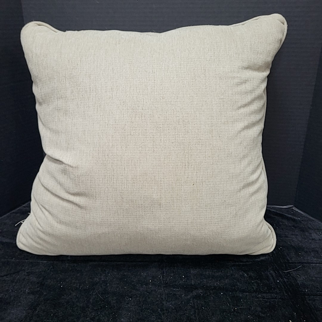 Throw Pillow