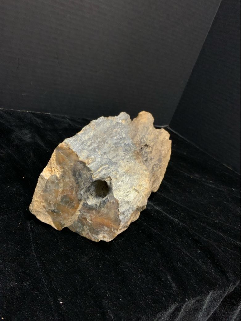 Petrified Wood