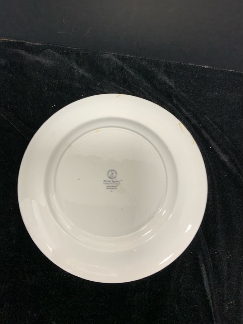Wedgwood Child's Plate