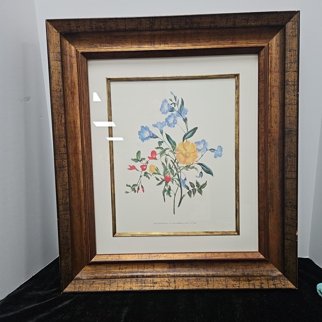 Framed Botanical