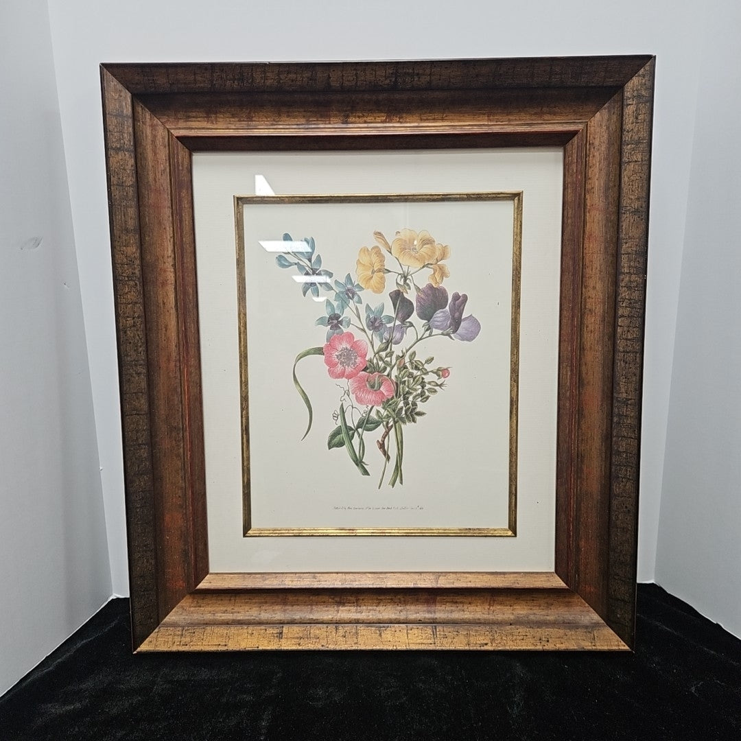 Framed Botanical