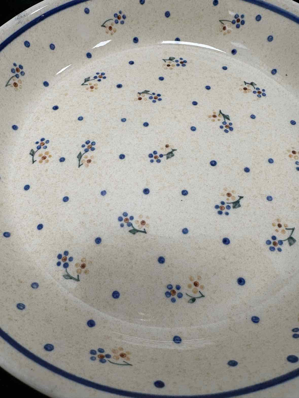 Boleslawiec Pie Plate