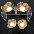 Fugu Minoware Bowl